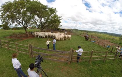 SBA realiza reportagem na Fazenda Cabeceira do Prata