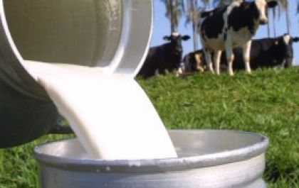 Importações brasileiras de lácteos aumentam