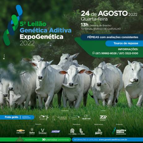 Leilão Reconquista ofertará touros vencedores do CAR e da Expoutono 2022 -  Portal do Agronegócio