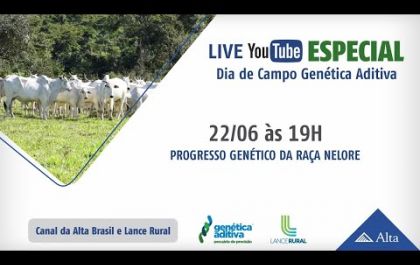 Veja como foi a LIVE: Especial Dia de Campo Genética Aditiva Progresso Genético da Raça Nelore