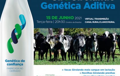 No próximo dia 15 de junho, a Genética Aditiva promove o 7º Leilão Gir e Girolando