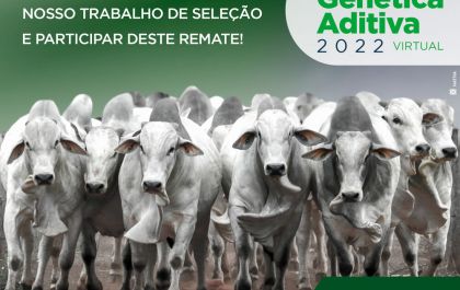 Genética Aditiva comemora sucesso do 19º Mega Leilão Genética Aditiva