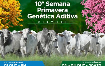 Vem aí a 10ª Semana Primavera Genética Aditiva: Oportunidade para produtores investirem em alta genética Nelore