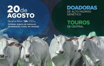 8º Leilão Genética Aditiva ExpoGenética 2025: Transforme Seu Rebanho com Fêmeas de Alta Performance