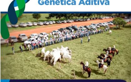 Genética Aditiva promove 16º Dia de Campo em Terenos (MS)