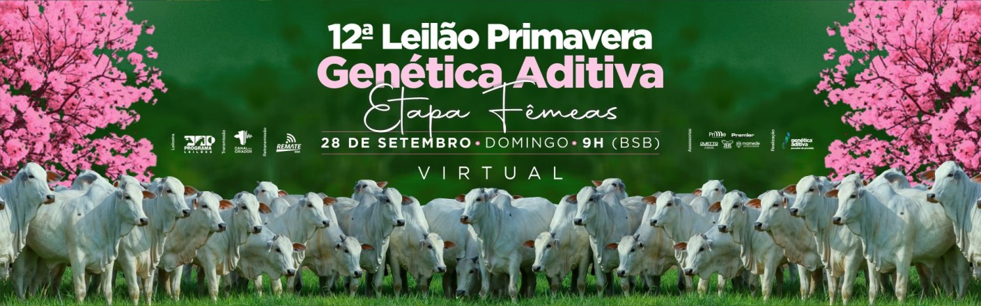 ETAPA FÊMEAS - 12ª LEILÃO PRIMAVERA GENÉTICA ADITIVA 2025