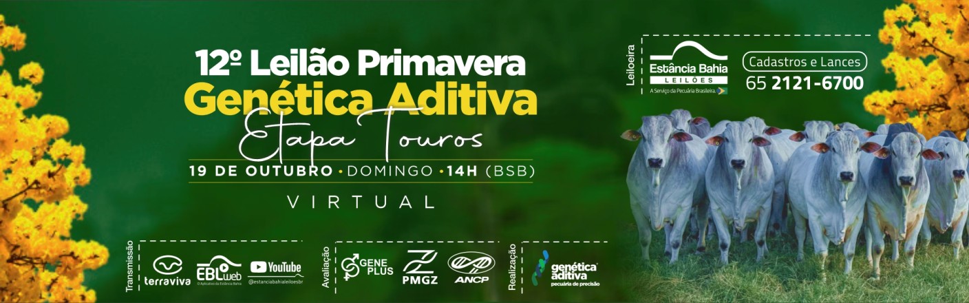 12ª LEILÃO PRIMAVERA GENÉTICA ADITIVA 2025 - ETAPA TOUROS
